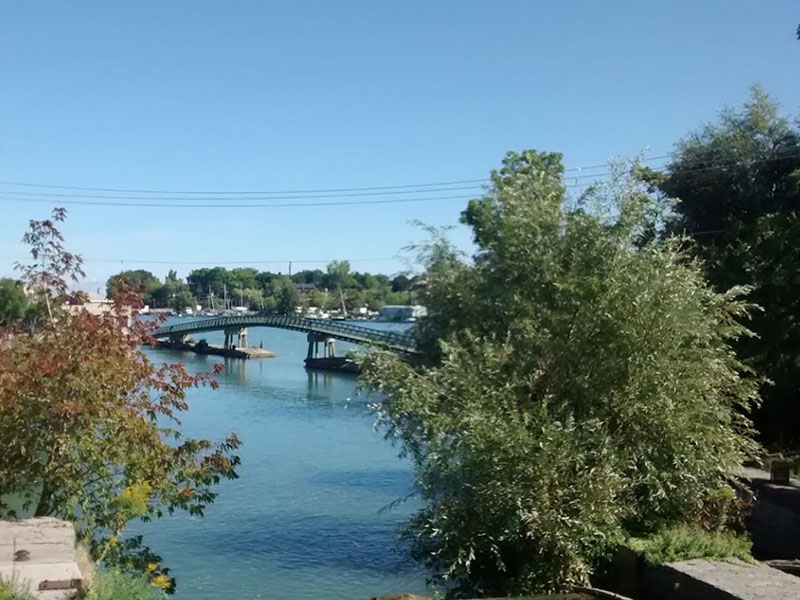 Web design across the Niagara region by Infused Agency